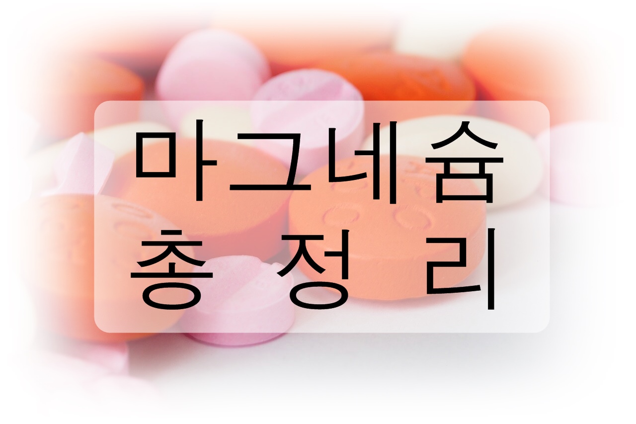 마그네슘 총정리! (효능, 부작용, 부족 증상, 결핍 증상, 하루 권장량, 주의점, 음식)