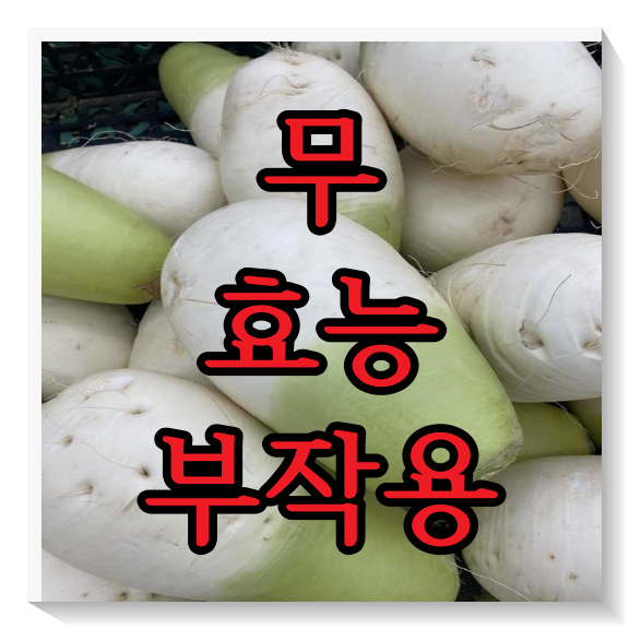 무 효능과 부작용