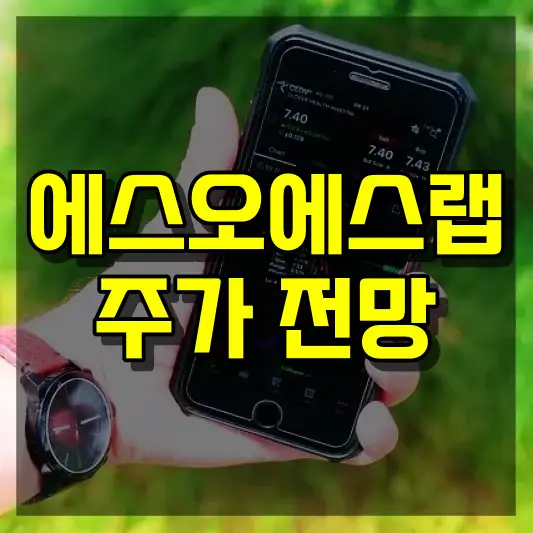 에스오에스랩 주가 전망