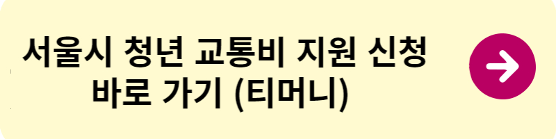 서울시 청년 교통비