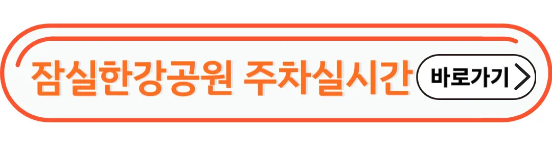 잠실한강공원 주차장 실시간