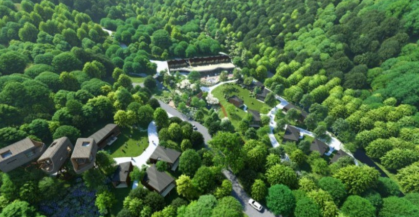 수락 휴 트리하우스