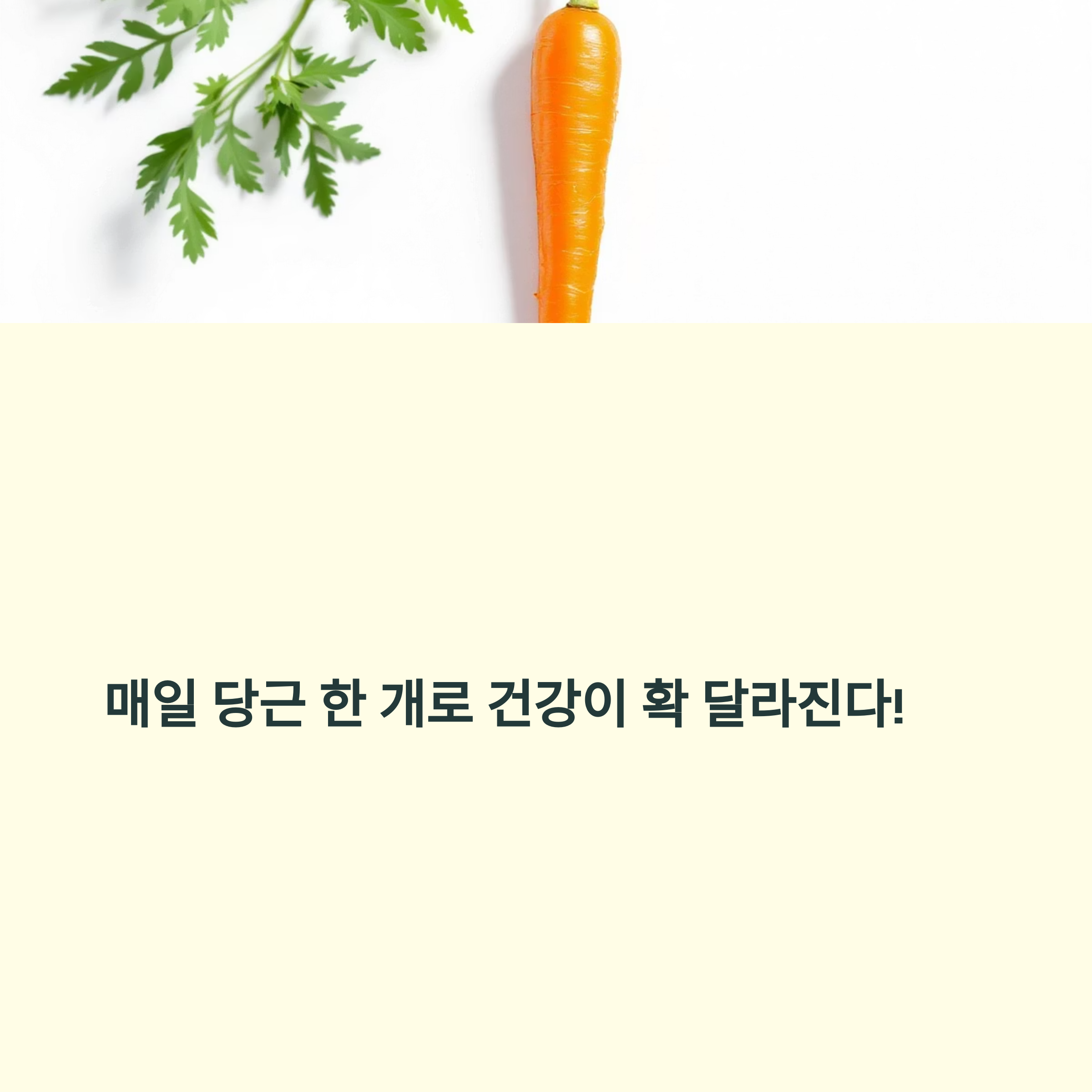 당근의 진짜 효능, 매일 한 개만 먹어도 생기는 놀라운 변화