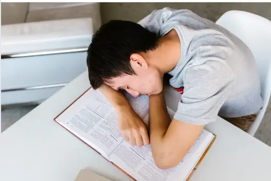 녹용 효능 및 복용시 주의점