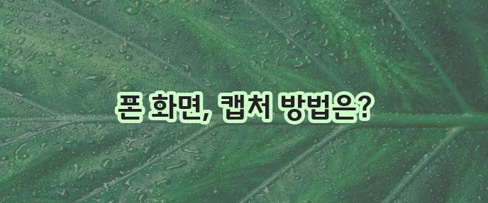 휴대폰 화면 캡처 방법
