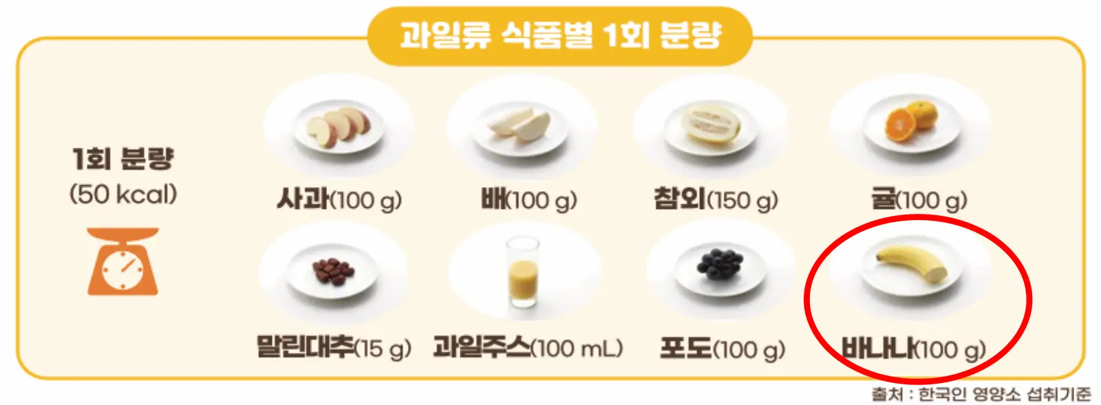 과일-노인-소화가잘되는-음식