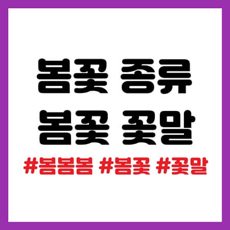 봄꽃 종류