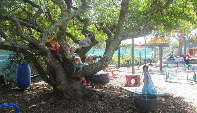 뉴질랜드 유치원 놀이터