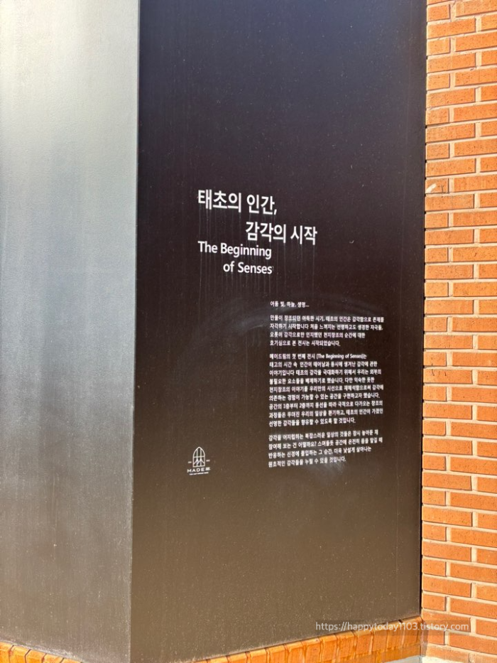 메이드림