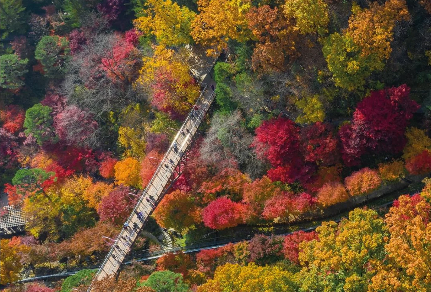 화담숲 예약&#44; 가을 단풍축제