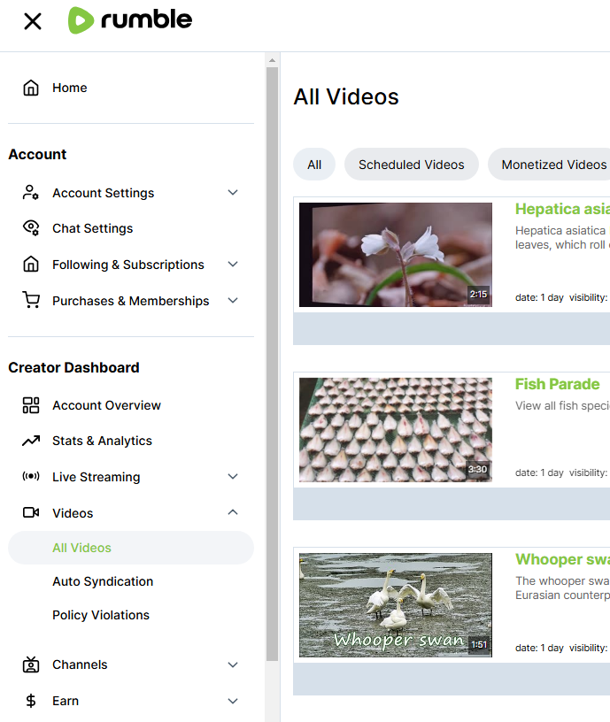 럼블 Rumble 메뉴