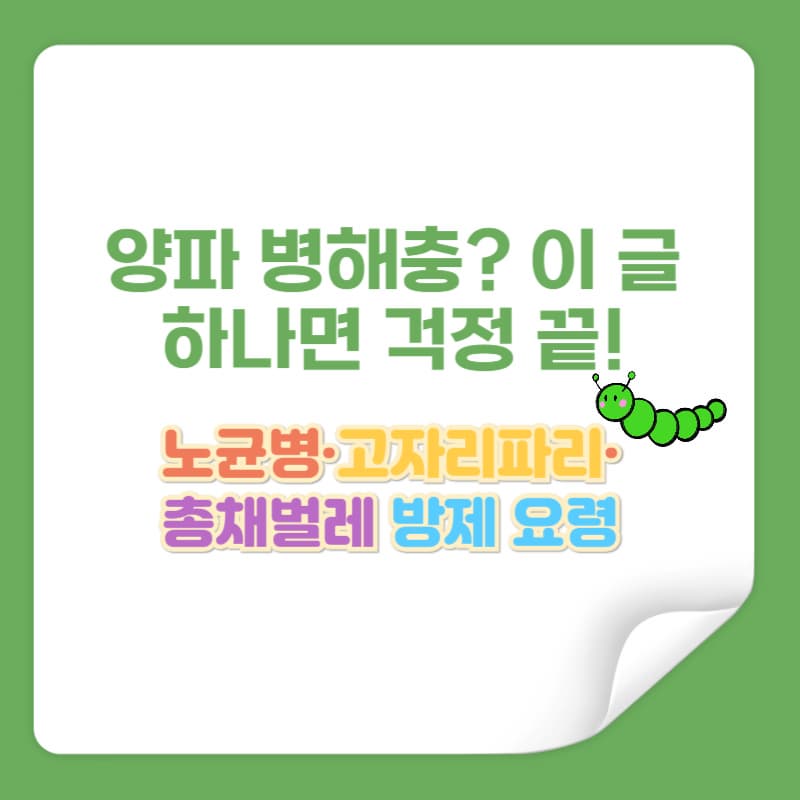 봄철 양파 병해충 예방법 – 노균병·고자리파리·총채벌레 방제 요령