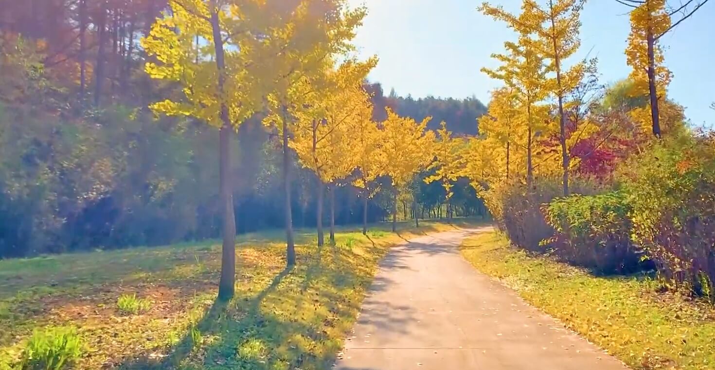 국립백두대간수목원