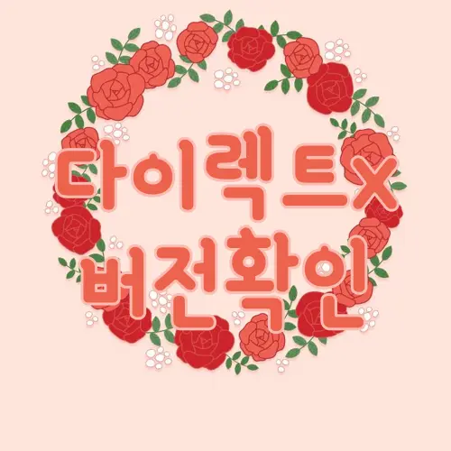 다이렉트x 버전확인