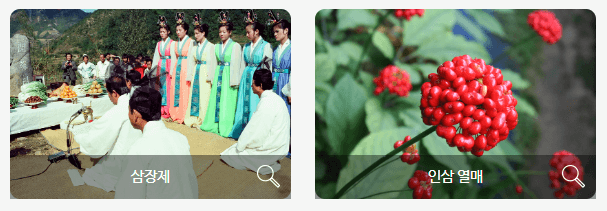 금산삼계탕축제 홈페이지 금산인삼축제 관련 이미지 입니다.