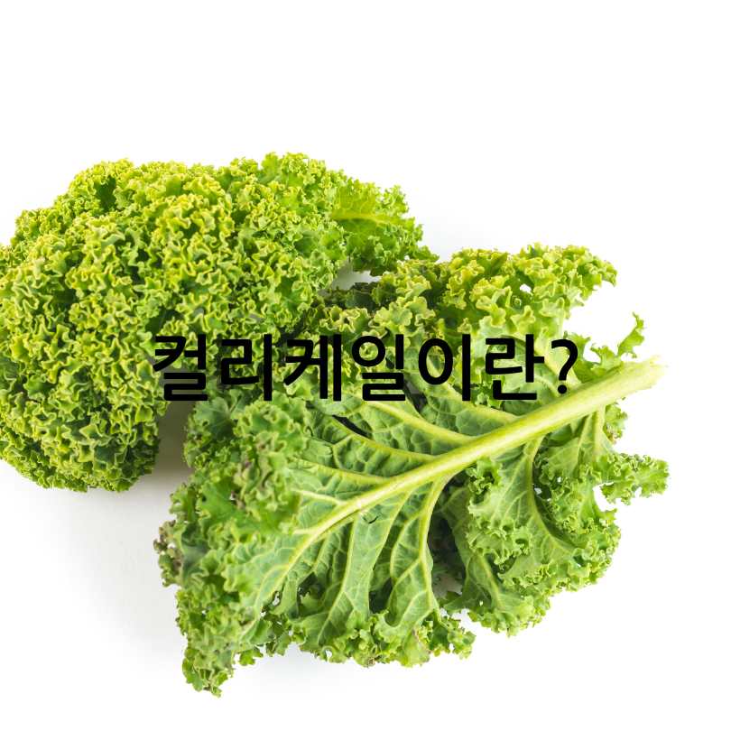암을 쫓는 채소, 컬리케일 효능 총정리