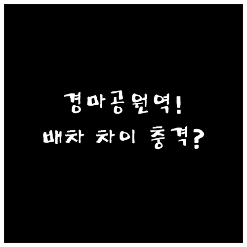 4호선 경마공원역 배차 간격 분석 평..