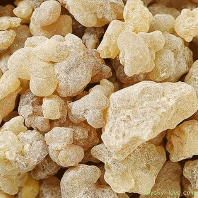 위염에 효과적인 신의 눈물 매스틱