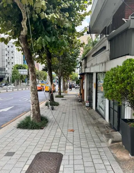 2024년 서울 반려견 순찰대 종료! 2025년 모집은 언제부터? [댕댕이&amp;#44; 강아지]