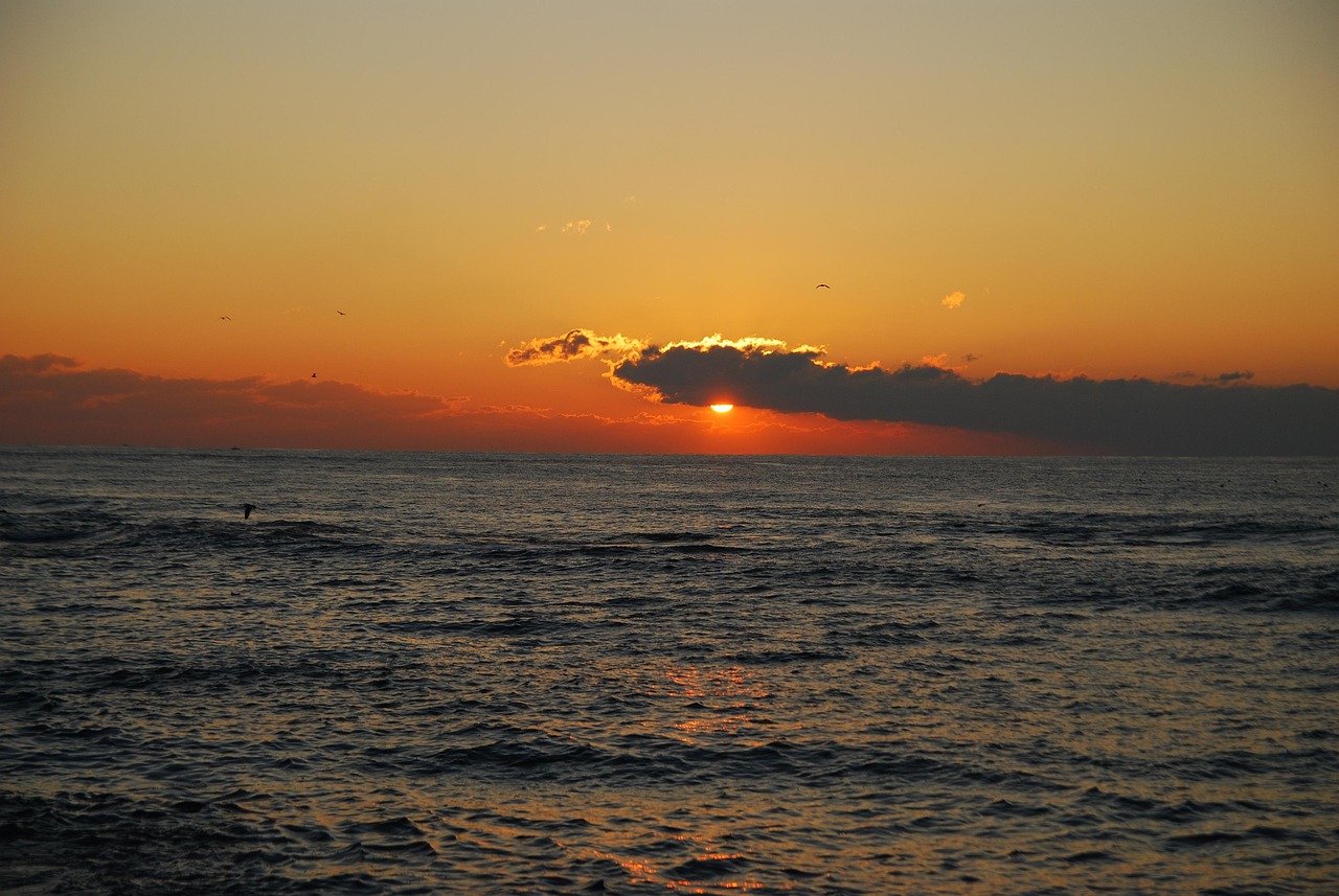 영덕 블루로드 비렁길 관련 사진