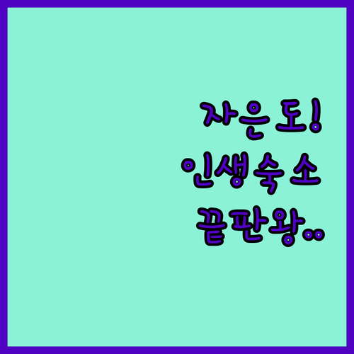 자은도 가볼만한 숙소 베스트 4 호텔..