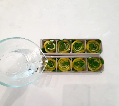 트레이에-마지막으로-물-넣기-1