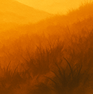 그릿(Grit) &ndash; 열정과 끈기가 성공을 만든다