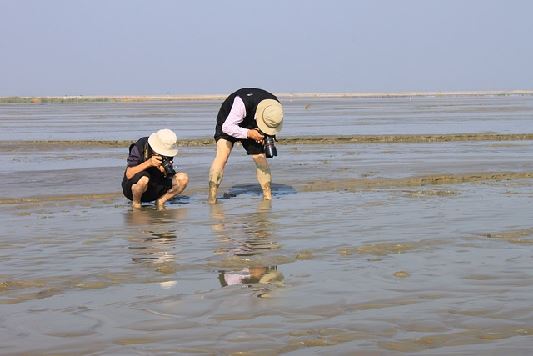 오이도가 좋은 이유부터 맛집까지! 시흥 오이도의 매력 총정리7