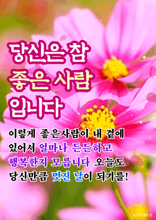 선명한 분홍 코스모스 꽃을 배경으로 좋은 사람이라는 메시지가 강조된 따뜻한 인사 이미지