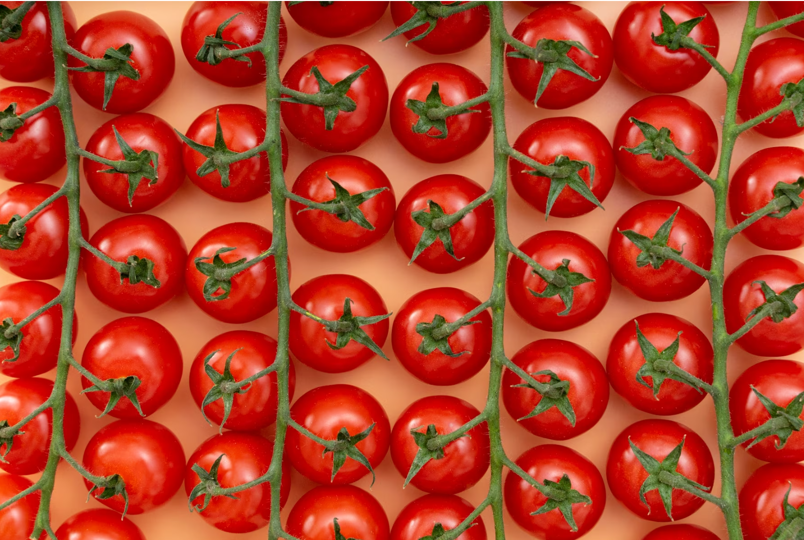 토마토마리네이드사진