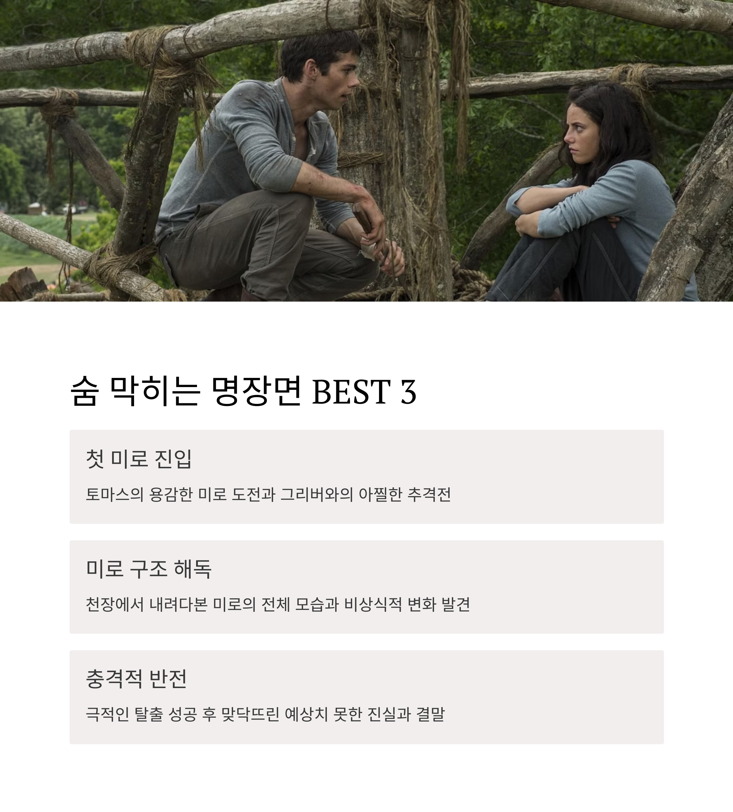 메이즈러너 영화 포인트 장면 관련 사진