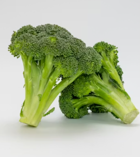 류마티스 관절염에 좋은 음식 영양제 식단