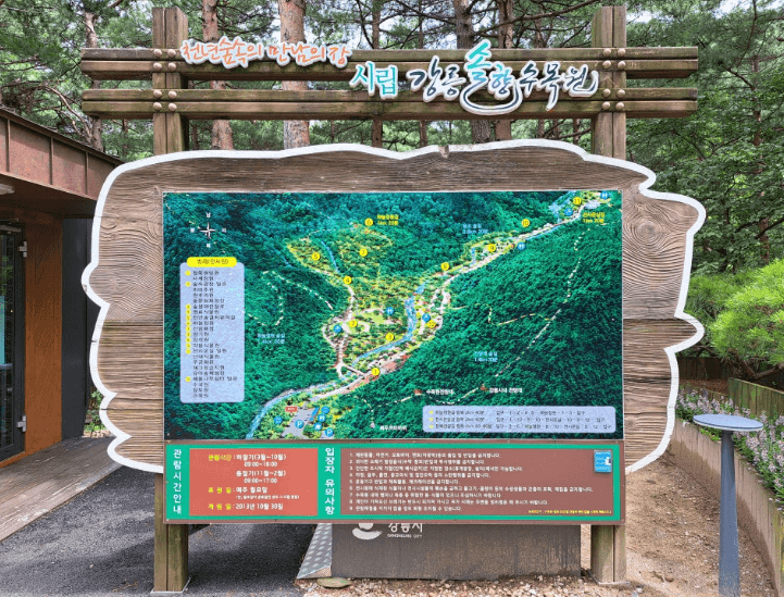 솔향수목원