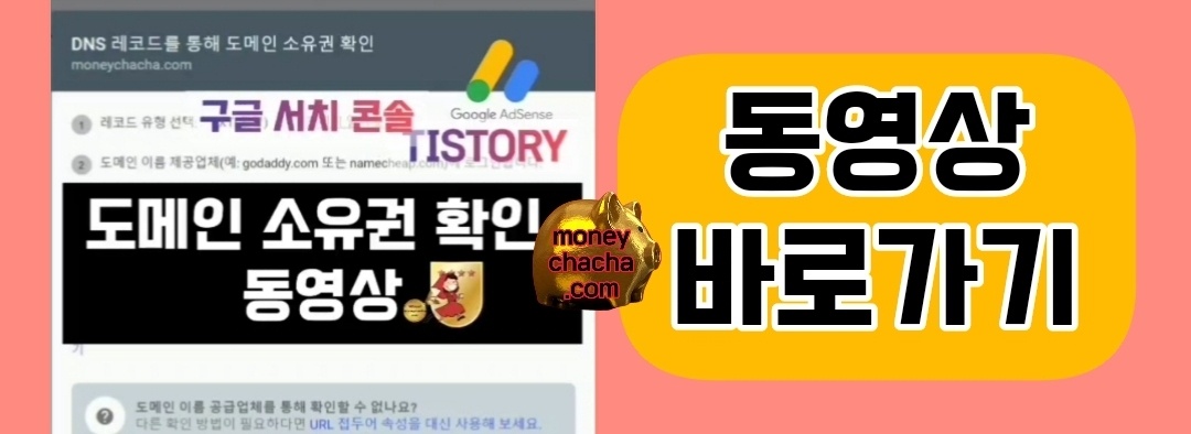 구글서치콘솔 DNS레코드 소유권 확인 동영상