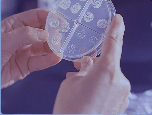 현대바이오-주가-전망-코로나치료제-관련주