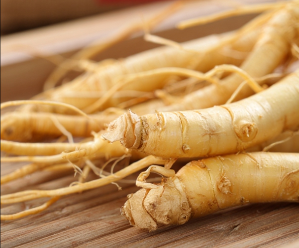 2025 충남 금산 삼계탕 축제 일정&middot;가는길, 인삼 가격&middot;가수 총정리