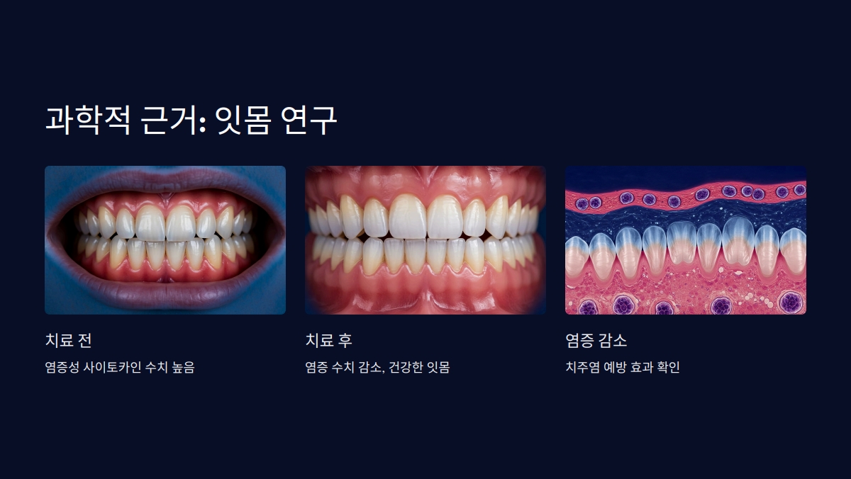 구강유산균 효능