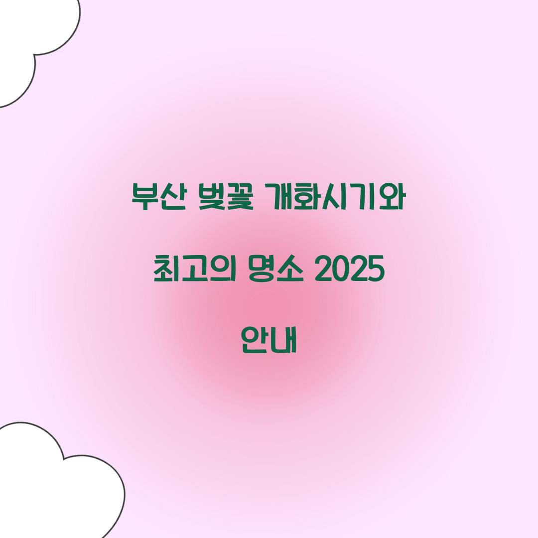 부산 벚꽃 개화시기
