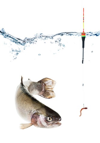 겨울 축제 '평창 송어 축제 2024' 정보 알아보기