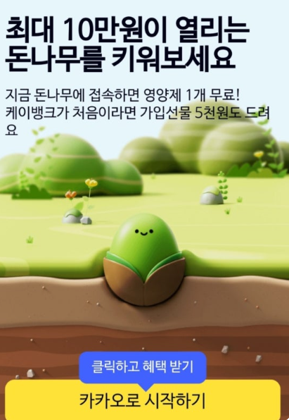 돈나무 키우기