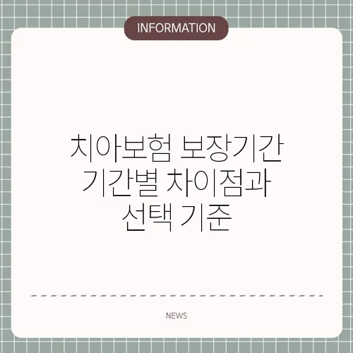 치아보험 보장기간 기간별 차이점과 선택 기준