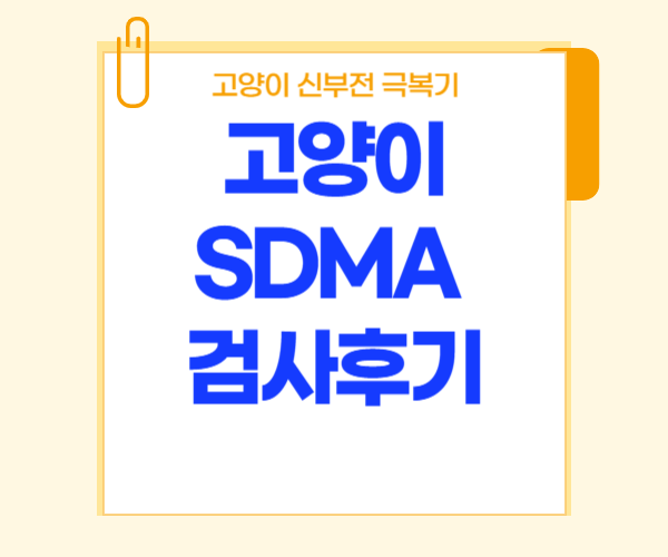 고양이-신부전이라고-써있는-사진