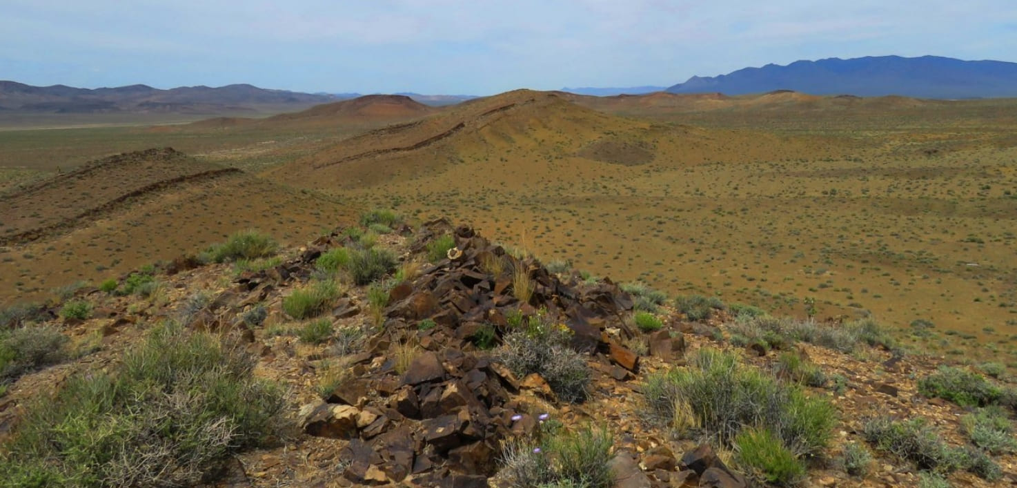 Signs of the World’s First Reefs
