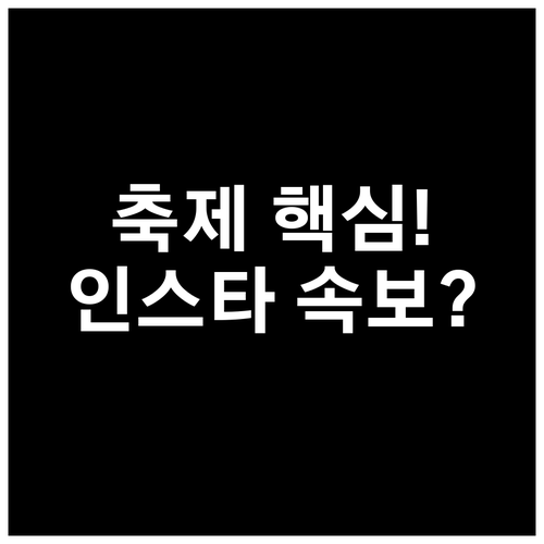 축제 운영의 근간 공식 일정은 웹사이..