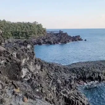 제주 서귀포 카페 추천 디저트 맛집과 뷰 맛집 정리_6