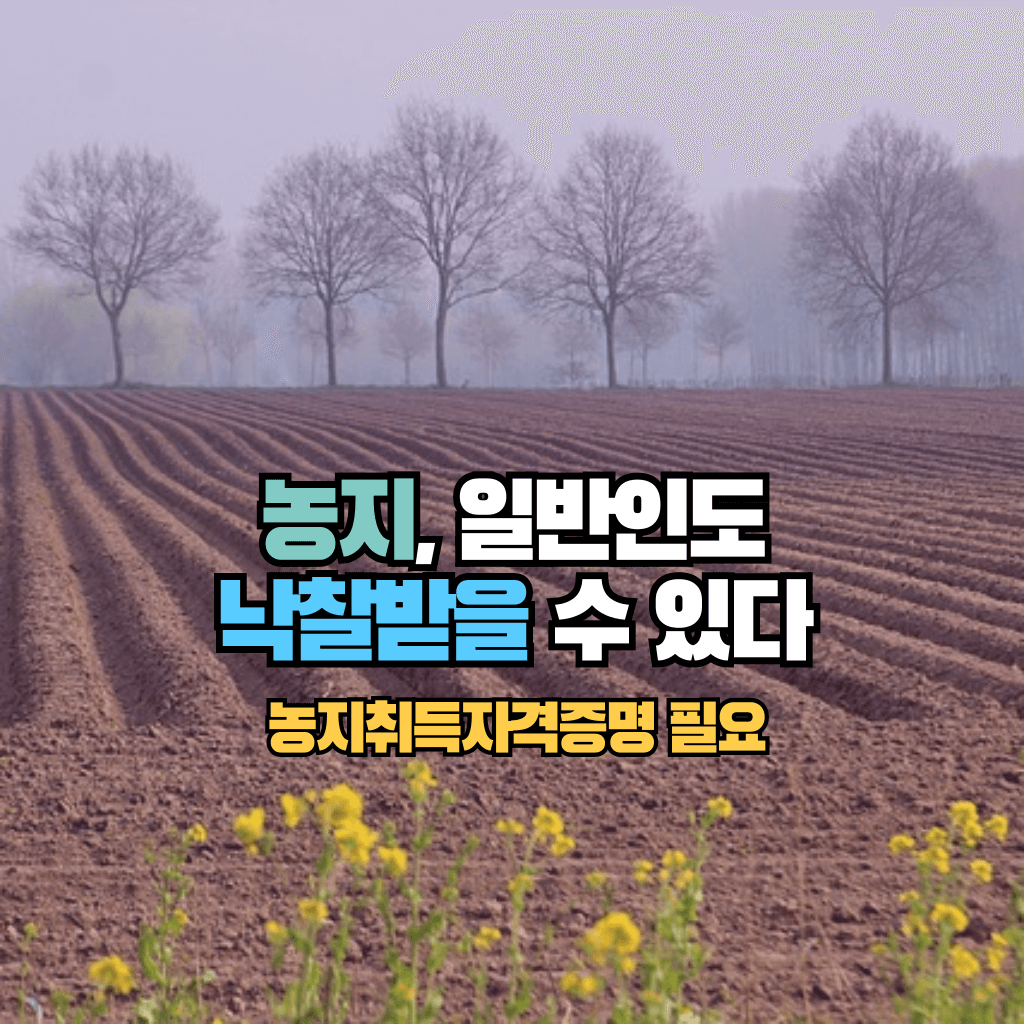 농지, 일반인도 낙찰받을 수 있다: 농지취득자격증명 필요