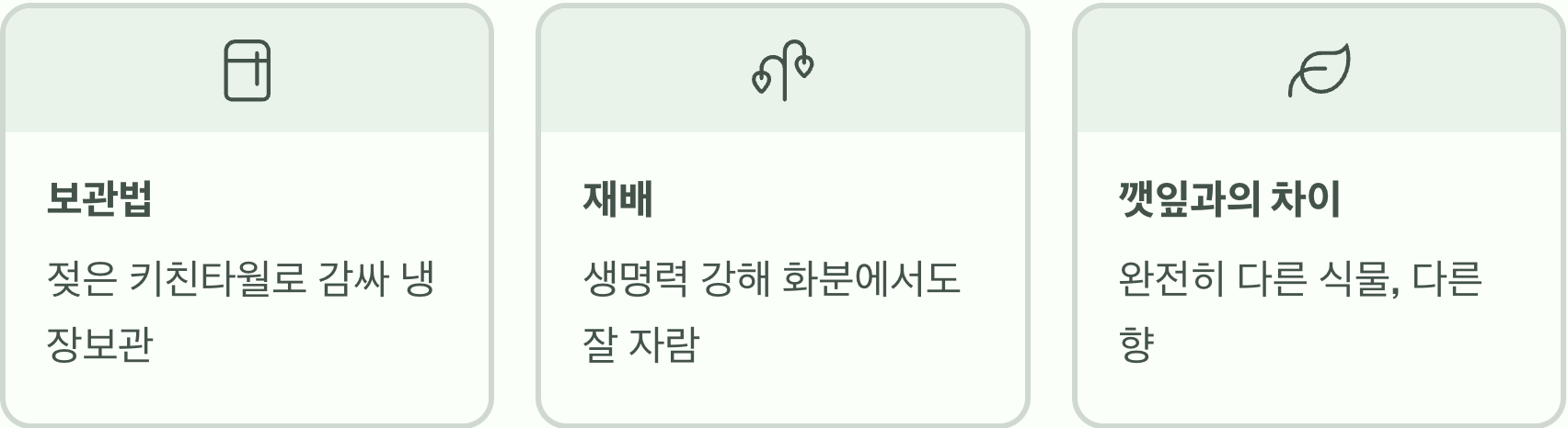 배초향(방아잎), 도대체 어떤 맛이고 무슨 음식에 넣나요?