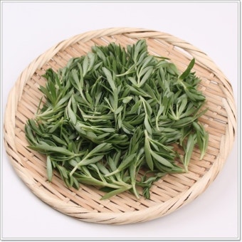 돌나물 사진