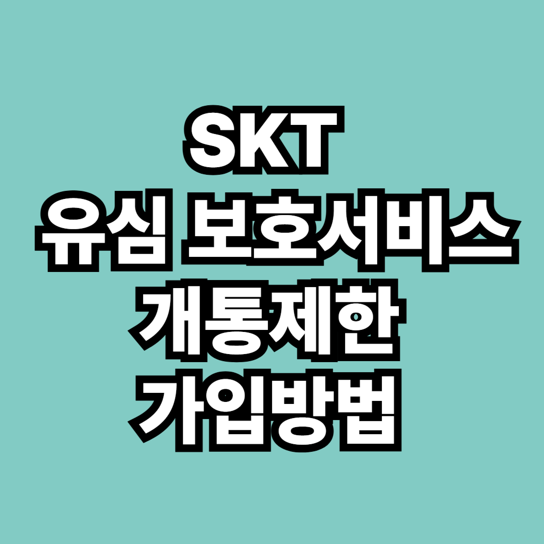 SKT유심보호 서비스