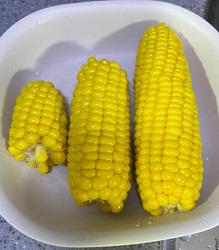 초당옥수수